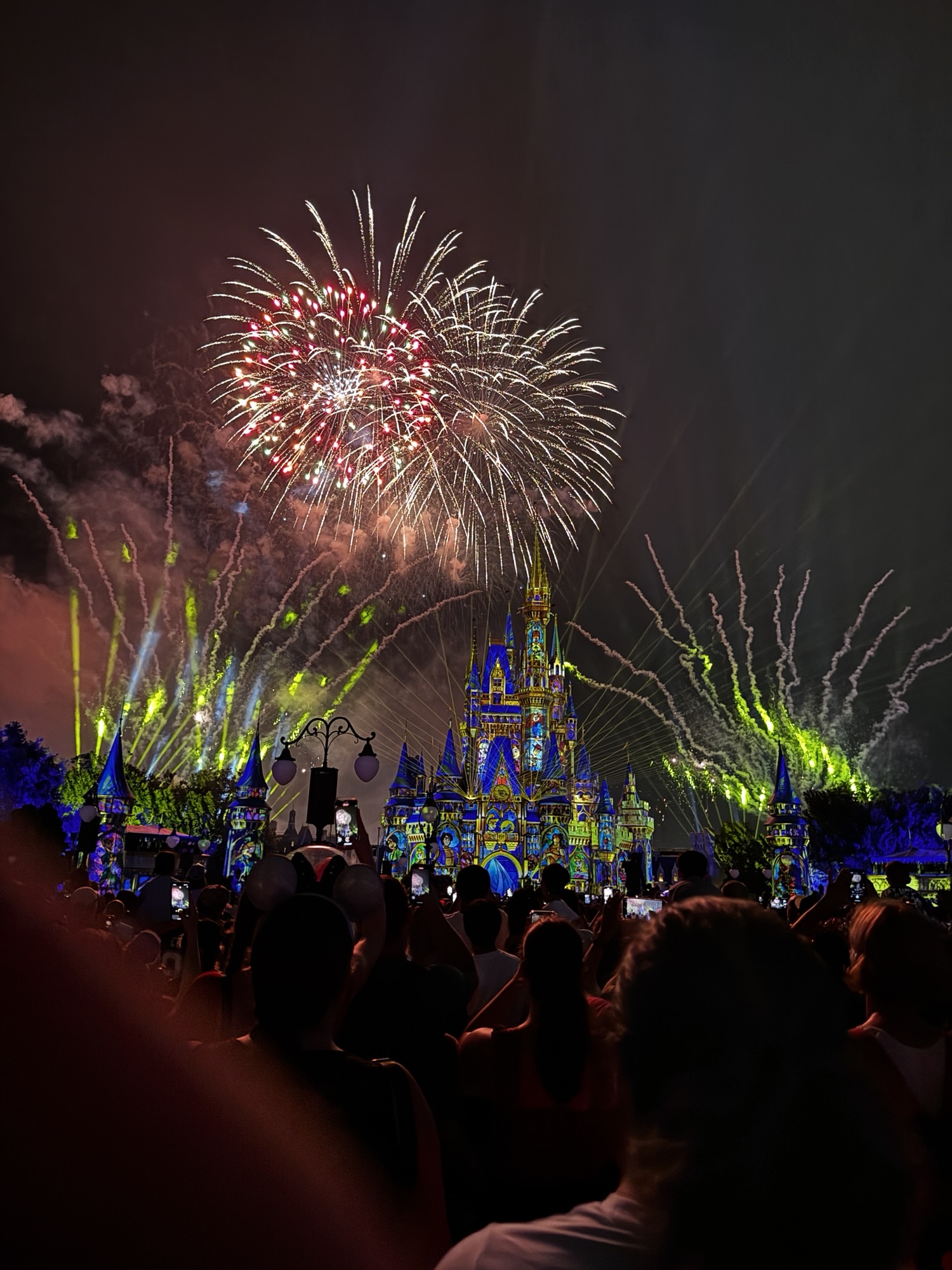 Unforgettable Fireworks at Disney’s Magic Kingdom